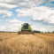 Agriculture cereal clouds 175389 1