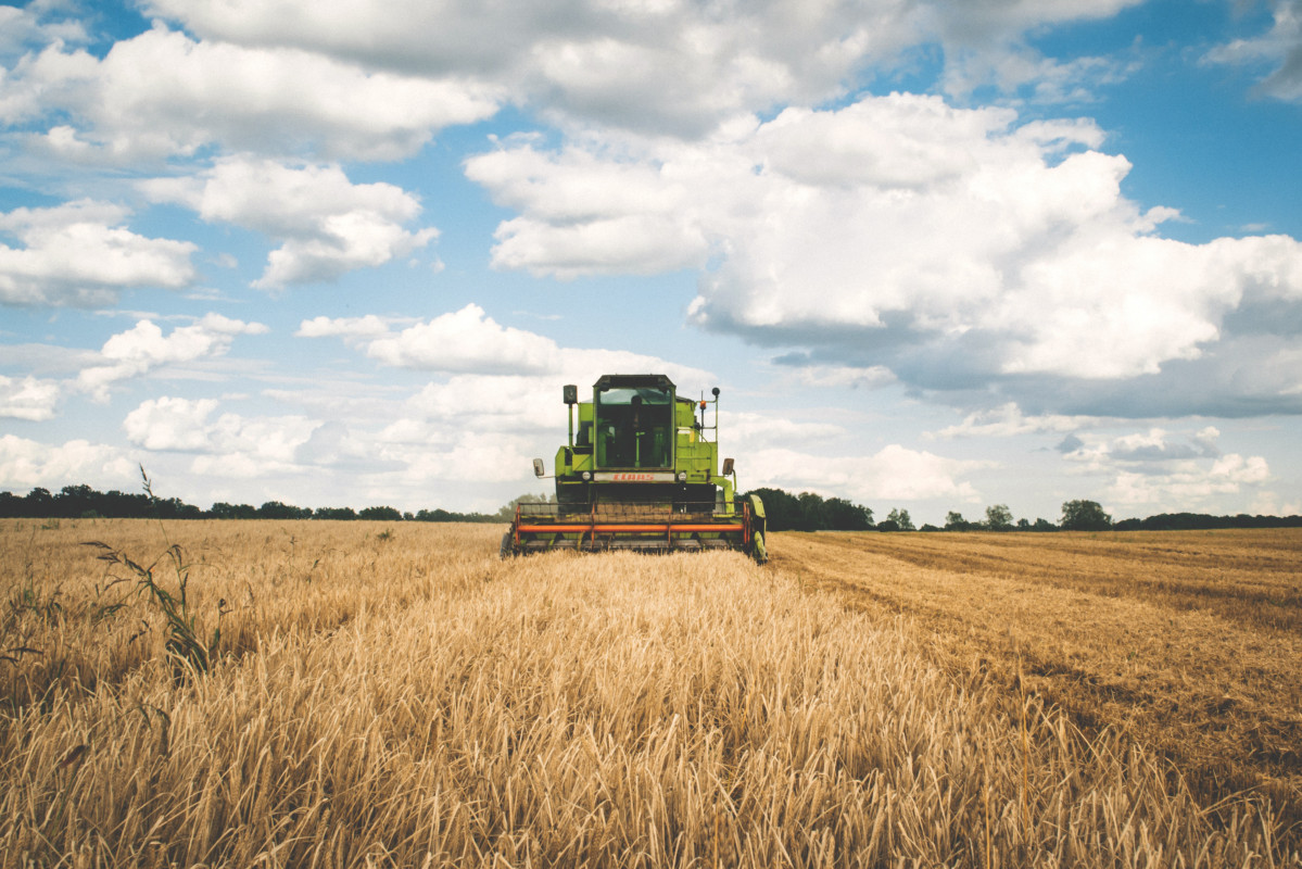 Agriculture cereal clouds 175389 1