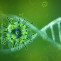 Coronavirus 4833754 1280