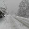 Snow 245285 1280