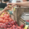 Apples g769af3627 1920