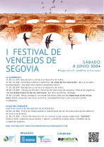 Cartel I Festival de Vencejos (1)