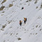 260225 Rescate SG 02
