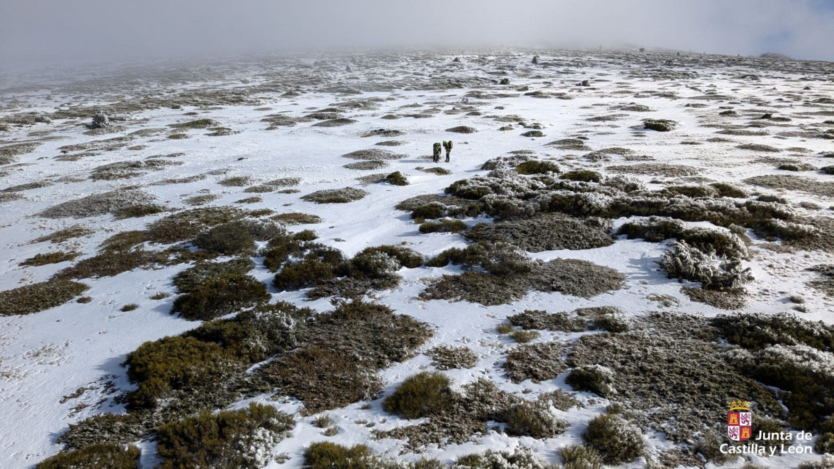 Diseu00f1o sin tu00edtulo (43),0